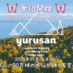 蓬莱山、30万球の水仙が誘う天空の旅