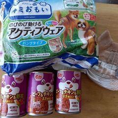アクティブパンツとごはん、譲ります