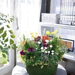 寄せ植えブリコラージュフラワー教室の画像