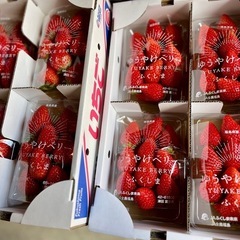 本日の朝一入荷品✨福島県産の美味しい🍓ゆうやけベリー