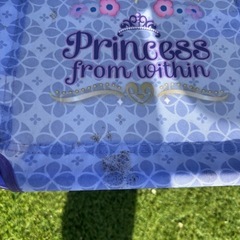 子供用折りたたみアウトドアチェア2脚セット　　の画像