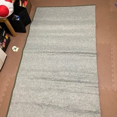 決定しました。い草ラグの画像