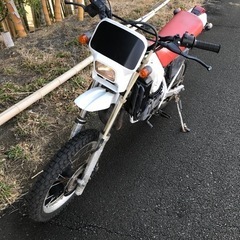 crm自賠責保険付き