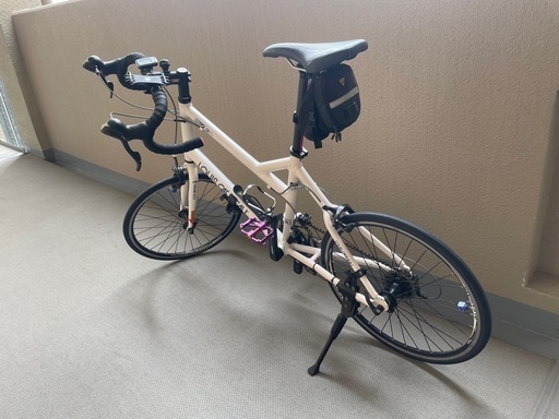 ルイガノ ミニベロ ロードバイク 軽量 自転車 カーボン アルミ 20