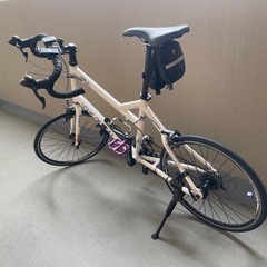 ルイガノ ミニベロ ロードバイク 軽量 自転車 カーボン アルミ 20インチ カスタム  の画像