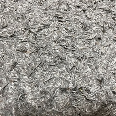 ニトリ 洗えるラグ 185×185の画像