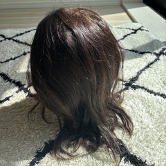 カットウィッグの画像