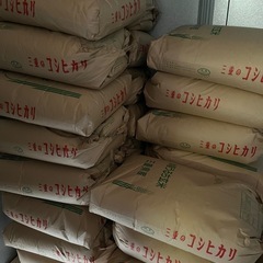 新米　令和6年産　コシヒカリ　玄米30kg
