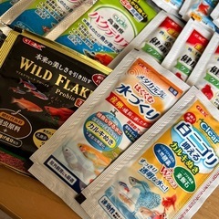 メダカや金魚のエサ 他の画像