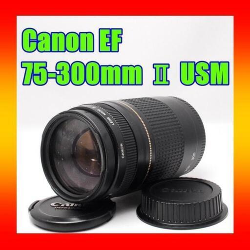 Canon EF 75-300mm Ⅱ USM 超望遠レンズ 入学式 お花見に