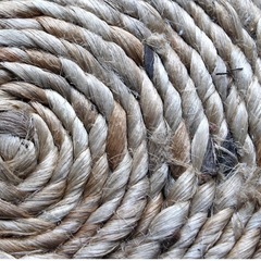 ジュードラグ　直径120cmの画像