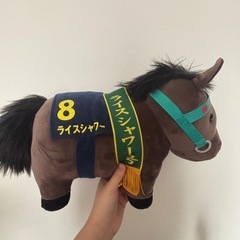 決まりました！