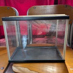 30センチ水槽