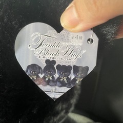 Twinkle Black Hugs 黒いぬいぐるみの画像