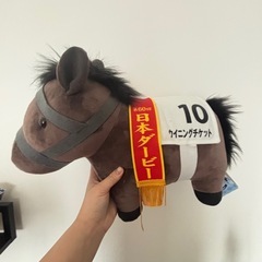 ウイニングチケットとトウカイテイオー！