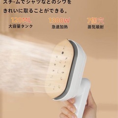 新品未使用　スチームアイロン 小型軽量ドライアイロン 180度回転 しわ取り 脱臭除菌の画像