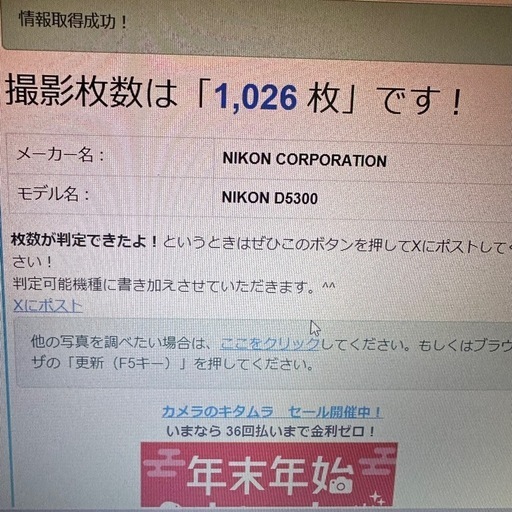 美品！ レッド Nikon D5300 レンズキット 18-55mm VR Ⅱ 赤 Wi-Fi転送OK 入門機 初心者オススメ ニコン