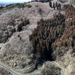 【売却済】山林物件242　岩手県一関市藤沢町①