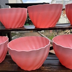植木鉢　（ピンク）6個の画像