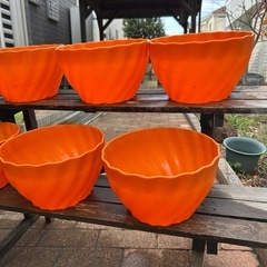 植木鉢　（オレンジ色）6個の画像