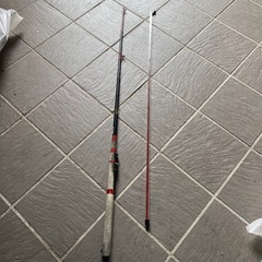 桜　伊勢1.65mの画像