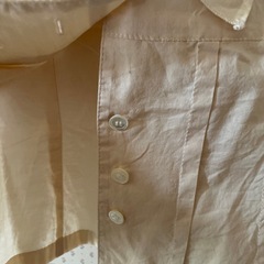 クリーム色のフリルかわいいブラウスの画像