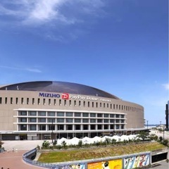 2025プロ野球オープン戦☆3/13(木)ホークスVS巨人☆指定...