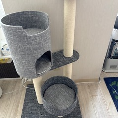 《譲渡先決定》キャットタワー