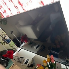 テレビ