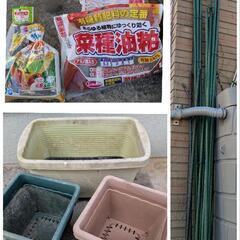 受け渡し予定者決定！　チューリップ　球根　鉢　植木鉢　の画像