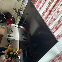 テレビ55インチ