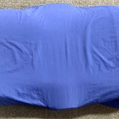 リファ　ニューピース　リリース　枕　の画像