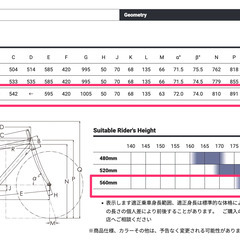 値下げ！ 使用感少なめ ディスクグラベルロード!  RALEIGH / ラレー CR-DC Carlton-DC カールトンDC サイズ560 ダークグリーンの画像
