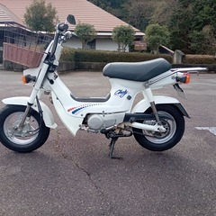 整備済み シャリー シャリィ 12V CF50 滋賀守山の画像