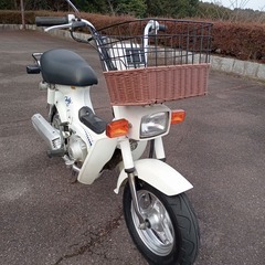整備済み シャリー シャリィ 12V CF50 滋賀守山の画像