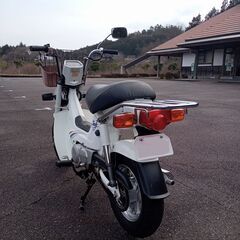 整備済み シャリー シャリィ 12V CF50 滋賀守山の画像