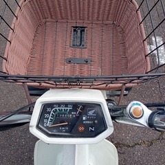 整備済み シャリー シャリィ 12V CF50 滋賀守山の画像