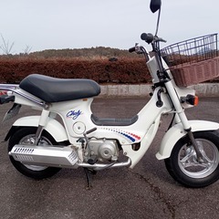 整備済み シャリー シャリィ 12V CF50 滋賀守山
