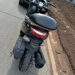 マジェスティ155sの画像