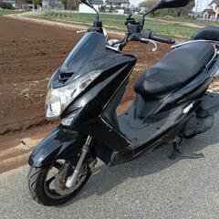 マジェスティ155sの画像