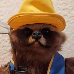 狸　剥製　置物　ゴルフの画像