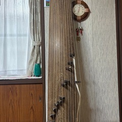 琴