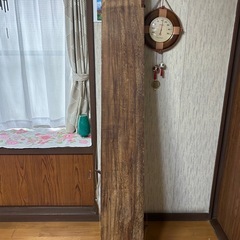 琴の画像