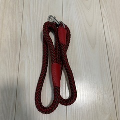 リード