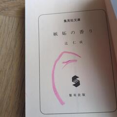 小説　夏目漱石　辻仁成の画像
