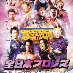 3月15日　全日本プロレス　奥武山大会　チケット　　
