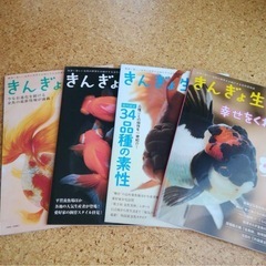 1冊700〜金魚特集
