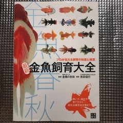 金魚飼育大全
