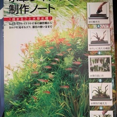 水草レイアウト制作ノート