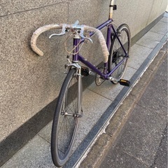 Tern Rivet 650c ジャンクの画像